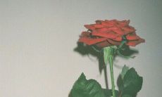 诉说内心疼痛却无人领悟的话语