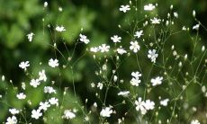 摘自亲情群的暖心话语：感人至深的家庭团结及温暖慰藉的言语