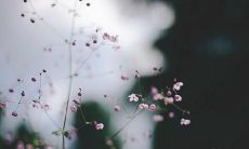 彻底失望且不忍继续忍耐男友行为，打算离开的强烈表态