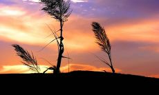 通过描绘细致且生动的自然和城市景观，创造出令人想象力狂热的尽头的文字描述