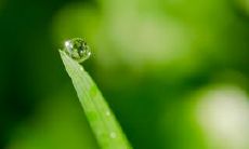 收集最让人感动的友情句子，唤起心灵深处的共鸣与思考