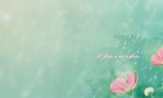 在余生时期继续维持友谊的美妙句子