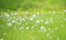 探寻友情之美:一组感人至深的遇见友情的句子