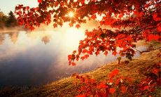 用含蓄言语批评友情的长句子