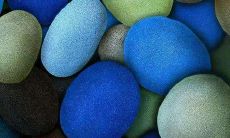 探究友情的经典名句：哪些词句最能代表真挚的友谊？