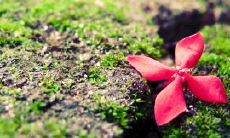 30句赞美友情的生动英语句子，让你感受友谊的温暖和珍贵意义