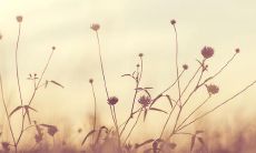 拥抱一切，敞开心扉接受所有的句子