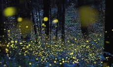 当毕业带走友情:深刻感悟、动人句子的分享