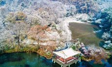 铺满欢乐的笑容：让人开心的有趣句子汇聚！