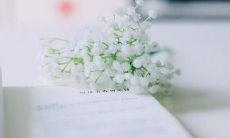 文艺青年的独特个性和独立思考的体现:个性化签名灵感汇集