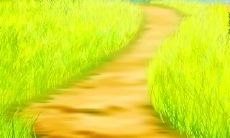 今晨与女友分享温馨问候的短信:文文静静,乡音犹存,静候一夕辗转难眠的喜悦!