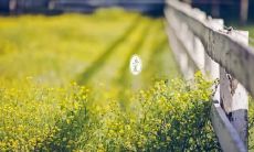 关心你的夏日健康:送上防暑关怀问候短信!