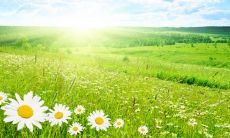 一些鼓舞人心的正向思维句子，帮助您拥有积极心态