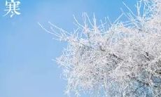 探寻小寒节气的美丽之处——探析描绘小寒的诗句