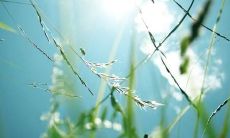 感到烦躁却无人抚慰的心境:一种无助的情感体验