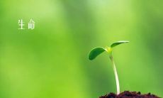 如何珍爱自己的生命?一个有意义的、实用性强的座右铭指南