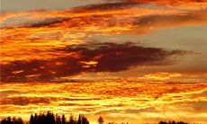 车间总动员!团结协作,追求卓越,勇往直前,共创辉煌!