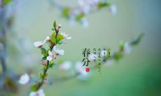 献上春分祝福的优美句子:用温馨语言送上春分的祝福