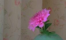 在你身边时，我的世界充满甜蜜幸福的句子和说说