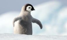 表达内心痛苦的句子，掏心窝子，安抚亲情伤痛——为那些因亲情而难过的说说