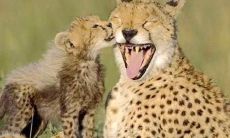 30字版：30句感恩之情四溢的动人佳句