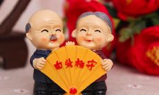 11周年结婚纪念日分享:钢婚,永恒承诺的宣言