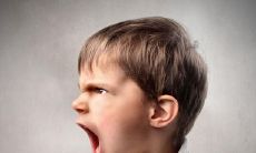 十分气愤之下的愠怒性质极强的语句