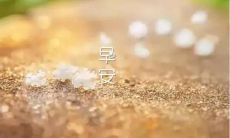 与女友分享早晨暖心情话,让你们的爱情更加甜蜜温馨