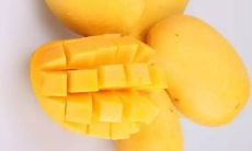 探寻芒果之美:汇聚妙语佳句,述说沁人心脾的芒果风味体验