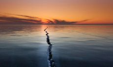 探秘最具深度、最为经典的句子，惊艳世界的极致文学之美