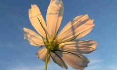 一览无余!体验微信8.0全新改进的状态文案图片功能,让您更轻松地表达心情和展现个性!