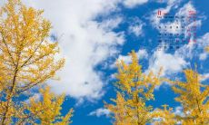 心底从未感受到快乐的句子,从未留下欢愉的微笑 – 沉睡在内心深处的话语