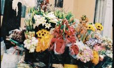 如何在找工作的艰难时刻给自己积极心态和情感支持：留意这些提升求职成功率的小贴士！