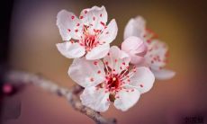 在抖音平台备受关注的引人入胜的话题表达方式