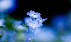 经典好句子，朋友圈中常被提及的话语