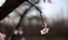 寓意深刻的句子:时光荏苒,岁月如梭,流逝之际唯有珍惜回忆,方能留下美好的痕迹