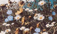 - 让我们一起庆祝国际妇女节体育盛会并努力争取性别平等的口号!