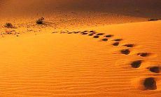 100句人生哲理句子，带你深刻思考生命意义及世界观念