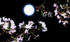 在春天醉人的夜晚,让我们沉醉在那些美丽动人的文句中吧!