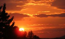 掏心掏肺,倾诉心路——让我们来分享一些令人心烦心伤的句子