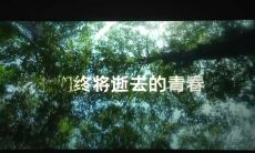 哀怨之歌：缅怀那些已逝去的青春岁月的句子们