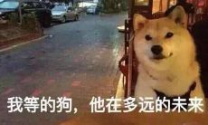 这里有最新的、极具个性化并具有幽默感的简短句子,适用于在朋友圈转发、分享、发言!