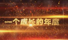 公司年会的留言发言：如何撰写参与公司年会的文字记录？