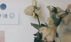 唯美至极的少年之言：探索青春的奥秘，寻找生命的意义