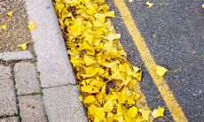 暖心又贴近生活的天气变冷时的句子推荐，送给你一份温暖的可爱文案！