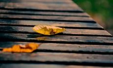 在朋友圈中表达内心平静的美妙句子,满怀深意,让人感同身受