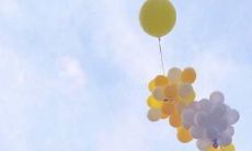 四月份在朋友圈发状态的话题句子：分享你的春日心情与活动，表达你对春天的热爱和感悟！