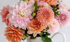 一些能够表达与同学之间友情情感的优美句子分享