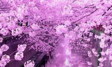 参考答案:用微博分享友情的句子,感人至深且意义非凡