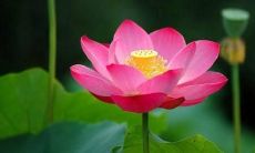 初中三年友情感言：留下深刻印记的友谊句子！